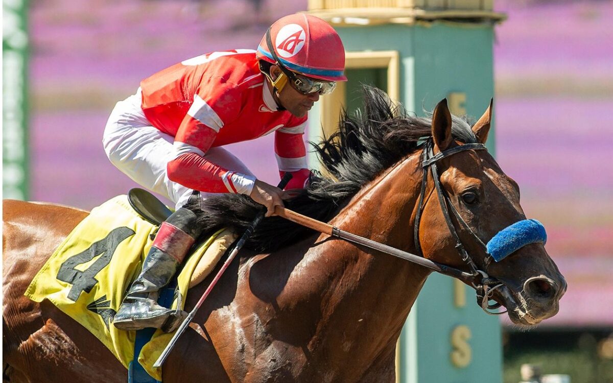 Secured Freedom - Affirmed Stakes - Santa Anita Park - Benoit Photo