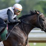 Sovereignty - Barbara D. Livingston - Daily Racing Form