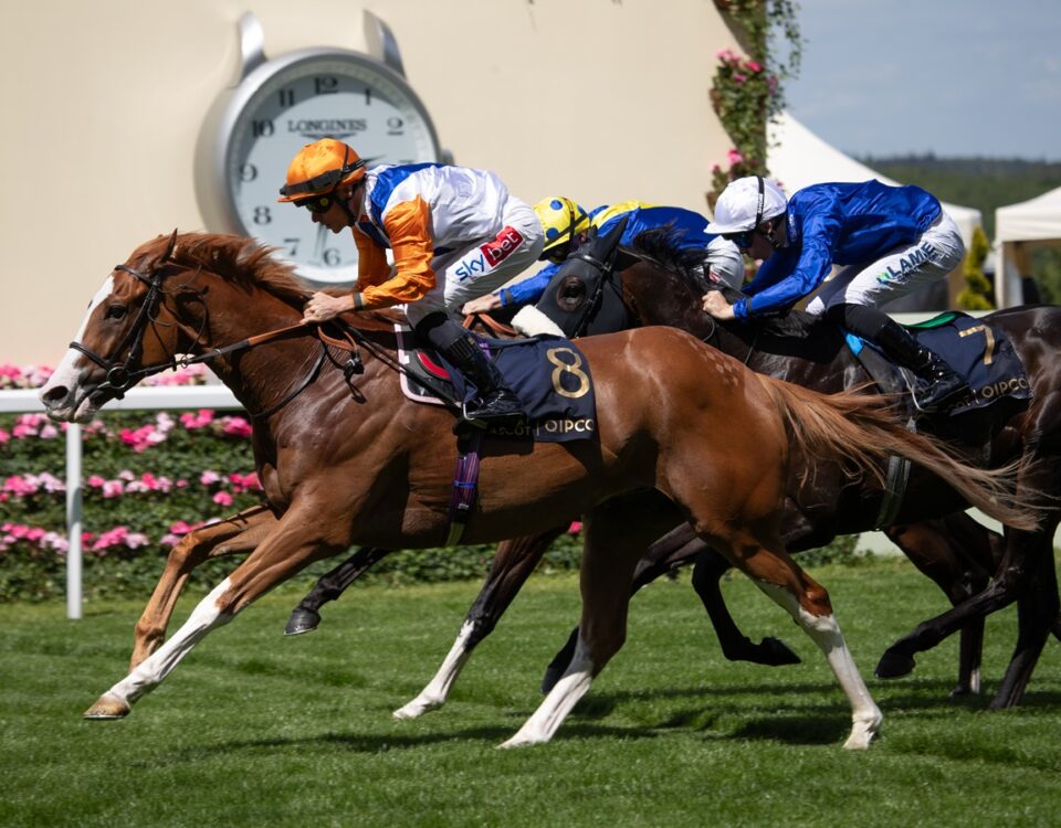 Ten Bob Tony *Ire - Queen Anne Stakes (Grupo 1) - foto: Julie Wright - Daily Racing Form
