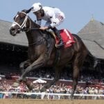 Saratoga Race Course - Barbara D. Livingston - Daily Racing Form