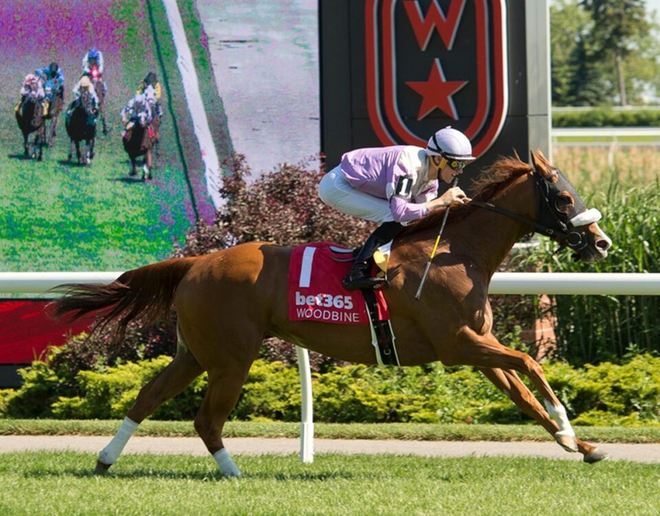 Miss Vyvyanne - Highlander Stakes G2 - Credit: Michael Burns - Woodbine