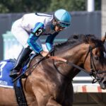 Book’em Danno - Mr Prospector Stakes - Photo By Taylor Ejdys/EQUI-PHOTO