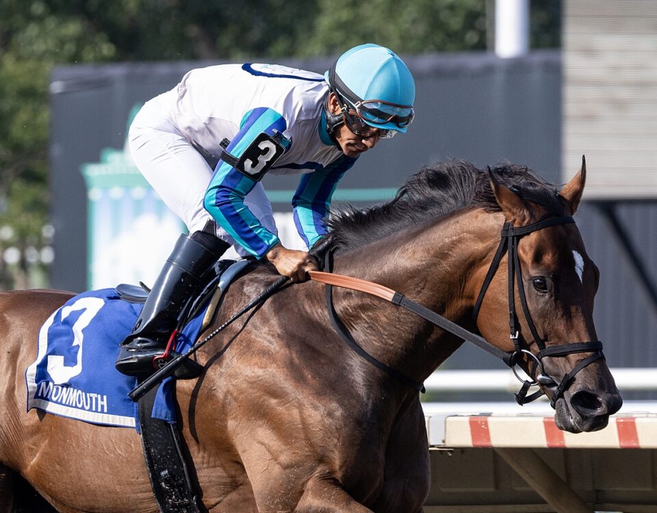 Book’em Danno - Mr Prospector Stakes - Photo By Taylor Ejdys/EQUI-PHOTO