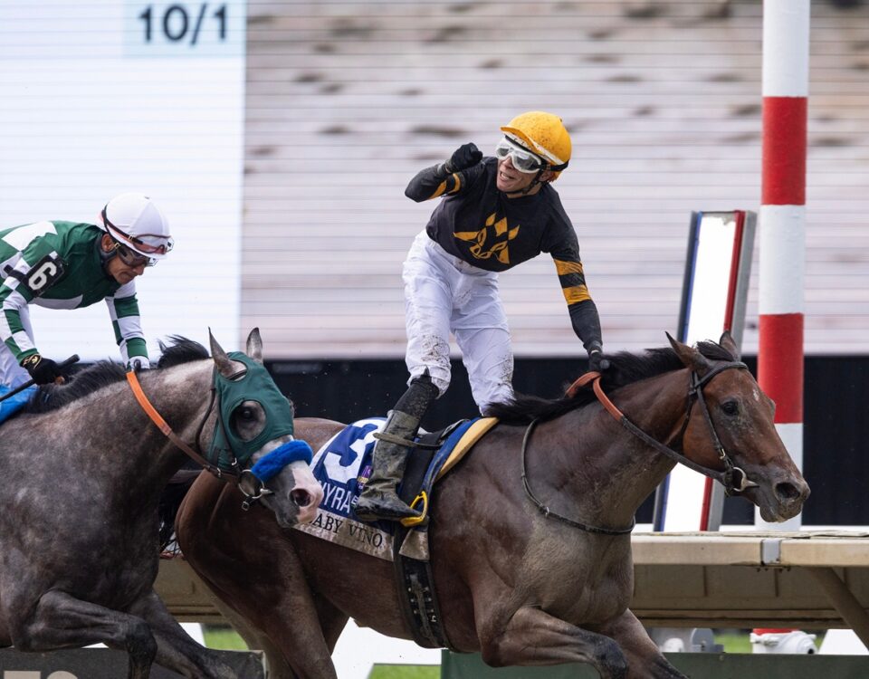 Baby Vino - Grade I Haskell Stakes $1M - at Monmouth Park - Photo By Taylor Ejdys/EQUI-PHOTO