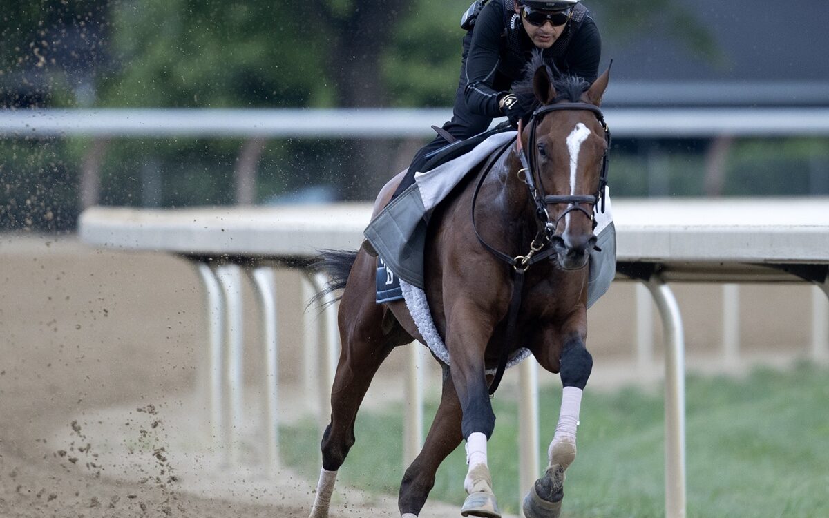 Always a Runner - Barbara D. Livingston - Daily Racing Form