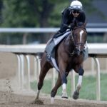 Always a Runner - Barbara D. Livingston - Daily Racing Form