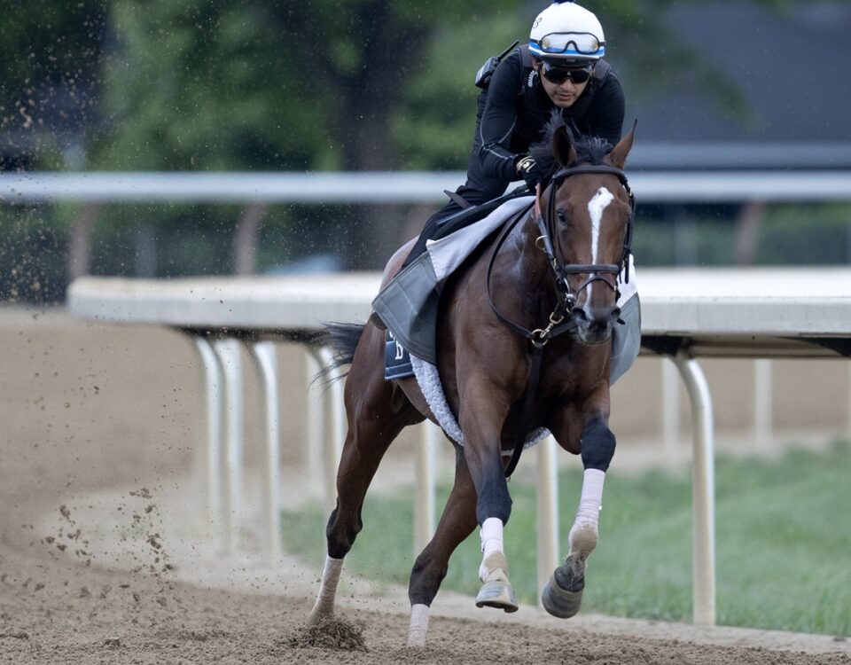 Always a Runner - Barbara D. Livingston - Daily Racing Form