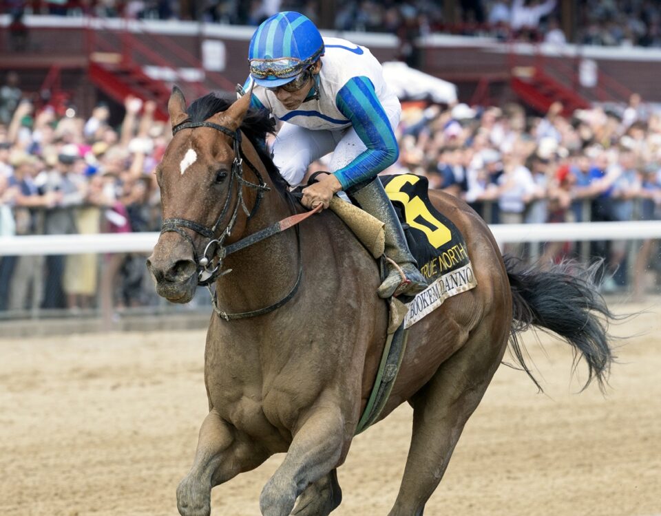 Book'em Danno - Debbie Roma - Daily Racing Form