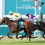 Bow Echo - Visit Qatar Sussex Stakes Group 1 - Goodwood Racecouse - Renee Torbit - Coady Photo