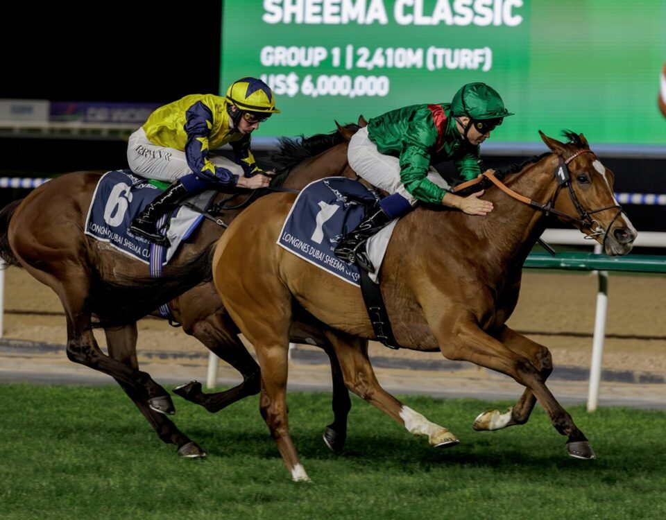 Calandagan - photo credit - Duabi Racing Club