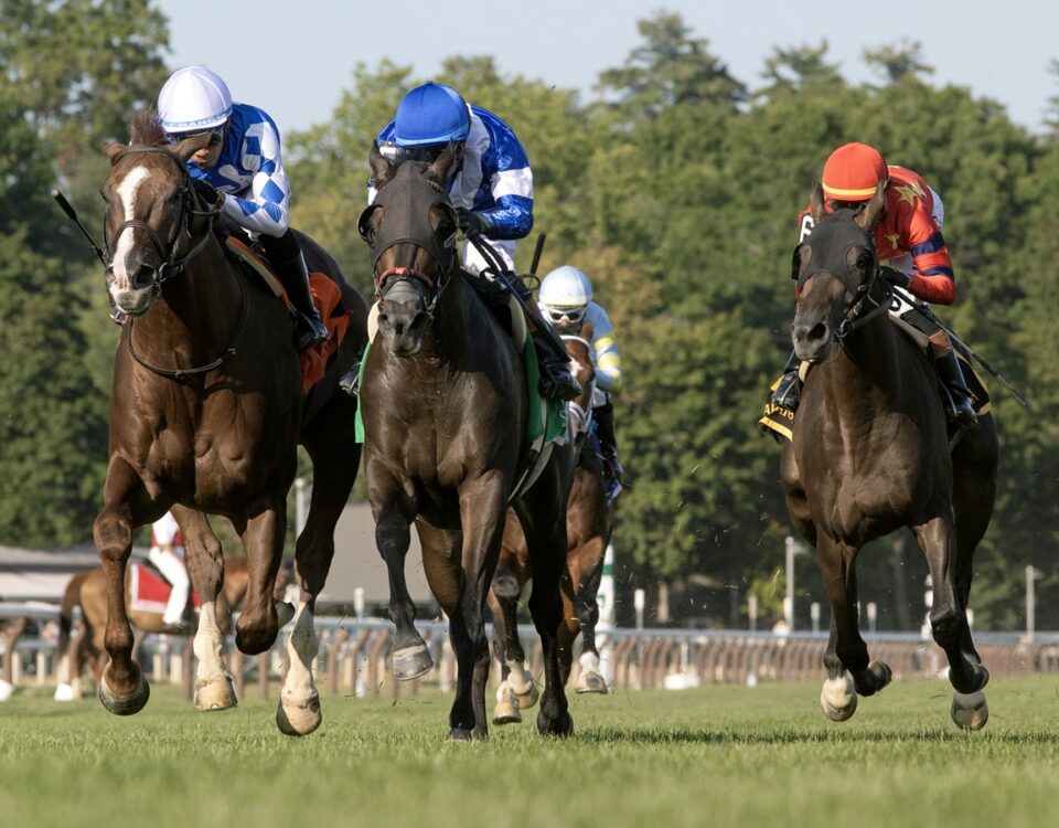 Chummers - Barbara D. Livingston - Daily Racing Form