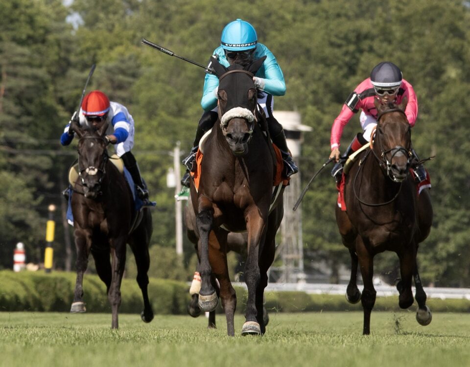 Cosmic Candy Girl - the Suzie O'Cain - Barbara D. Livingston - Daily Racing Form