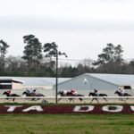 Racing at Delta Downs - Daily Racing Form