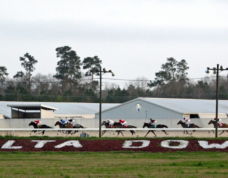 Racing at Delta Downs - Daily Racing Form