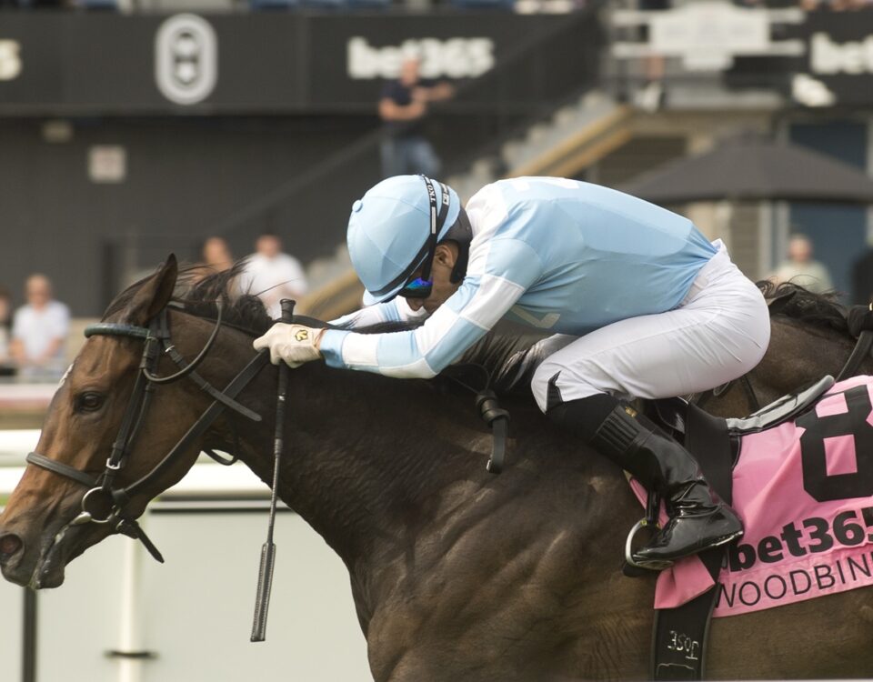 Dakotah Blue - (Grade III) $175,000 Ontario Colleen Stakes - Woodbine/ Michael Burns Photo