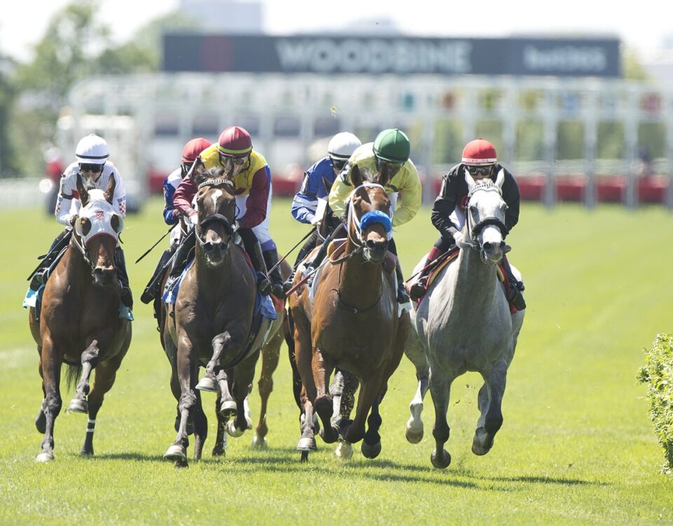 E.P. Taylor track - Woodbine/ Michael Burns Photo