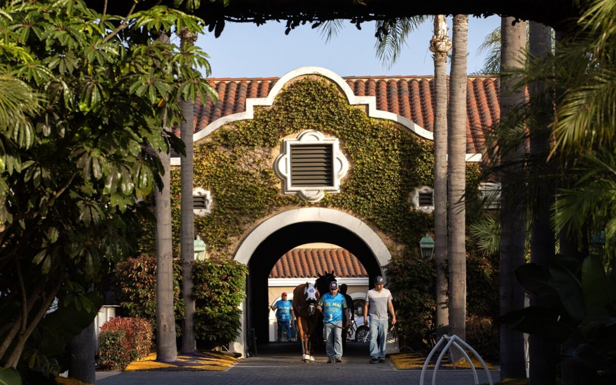 Del Mar - Barbara D. Livingston - Daily Racing Form