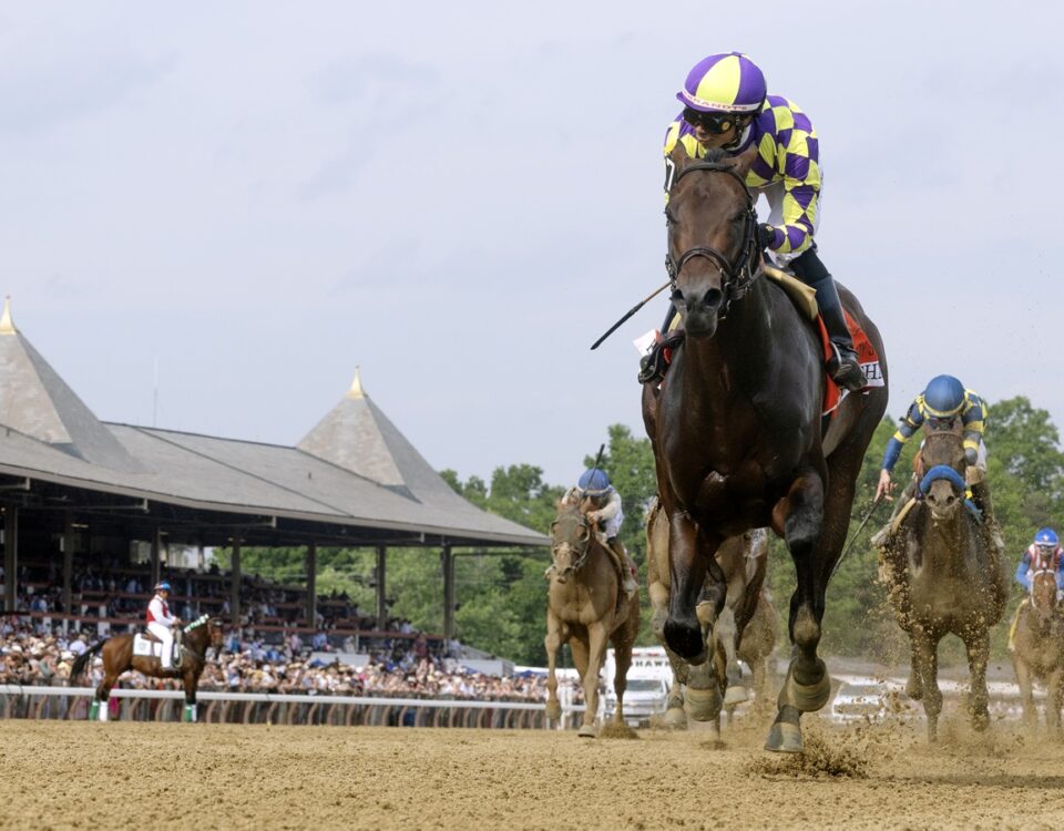 Englishman - Barbara D. Livingston - Daily Racing Form