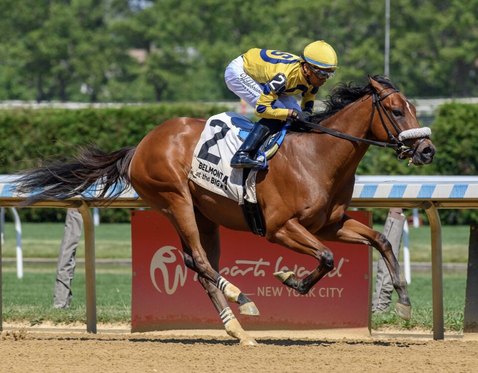 Flight Command - Coglianese Photo - New York