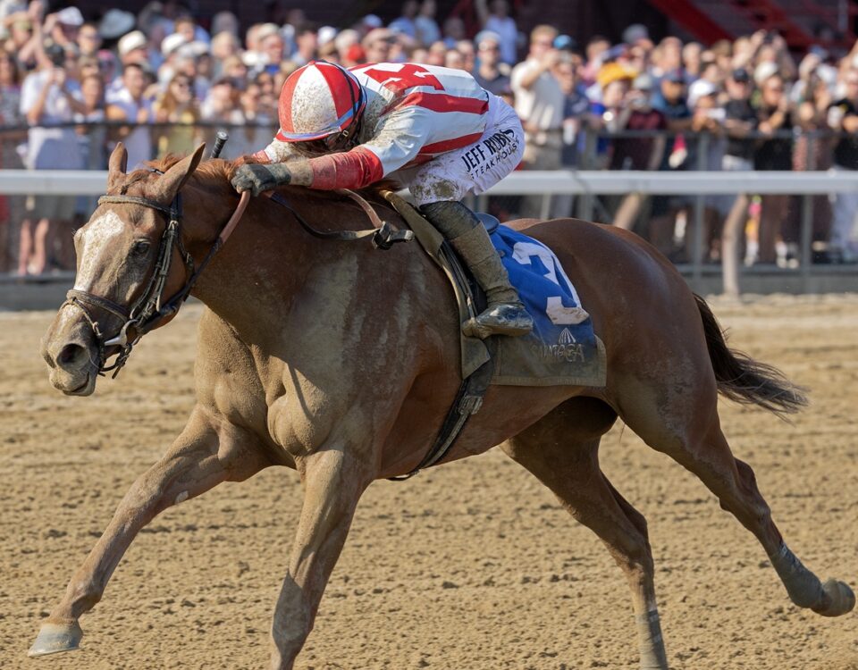 Fully Subscribed - Barbara D. Livingston - Daily Racing Form