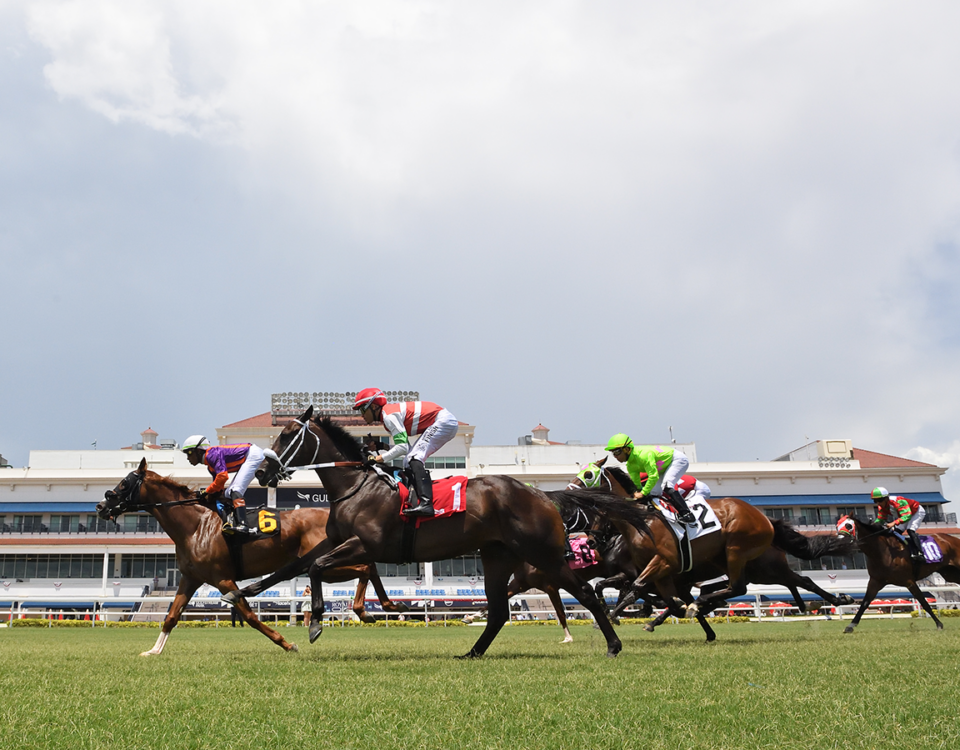 Gulfstream turf racing - Ryan Thompson - Coglianese Photo