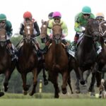 Saratoga 2026 - Barbara D. Livingston - Daily Racing Form