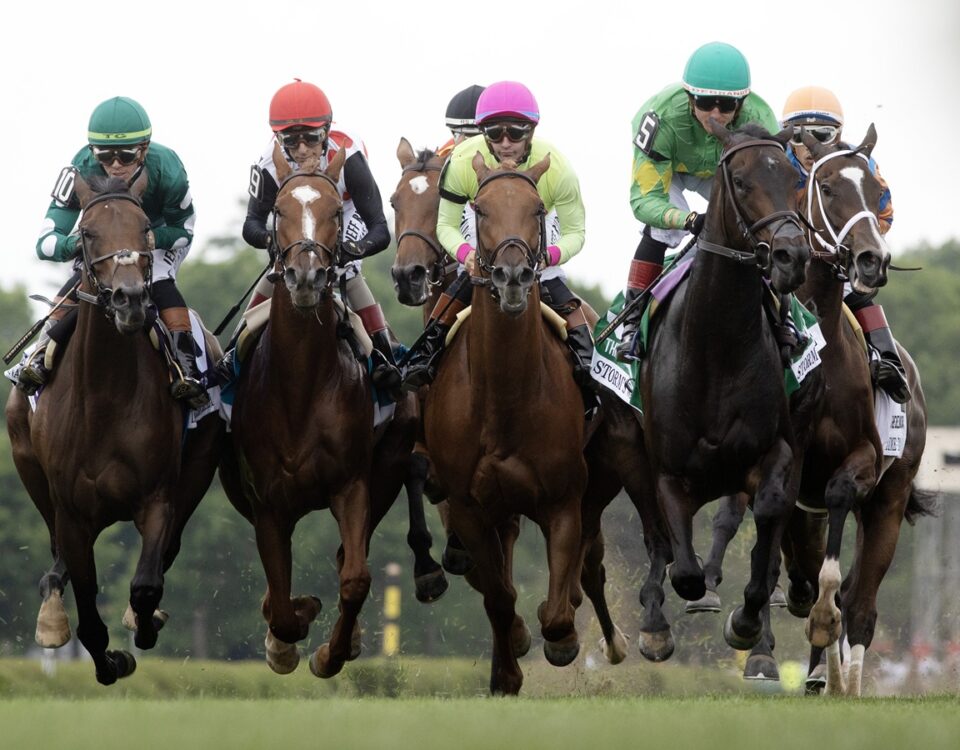 Saratoga 2026 - Barbara D. Livingston - Daily Racing Form