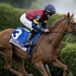 Kensington Lane (Ire) - Barbara D. Livingston - Daily Racing Form