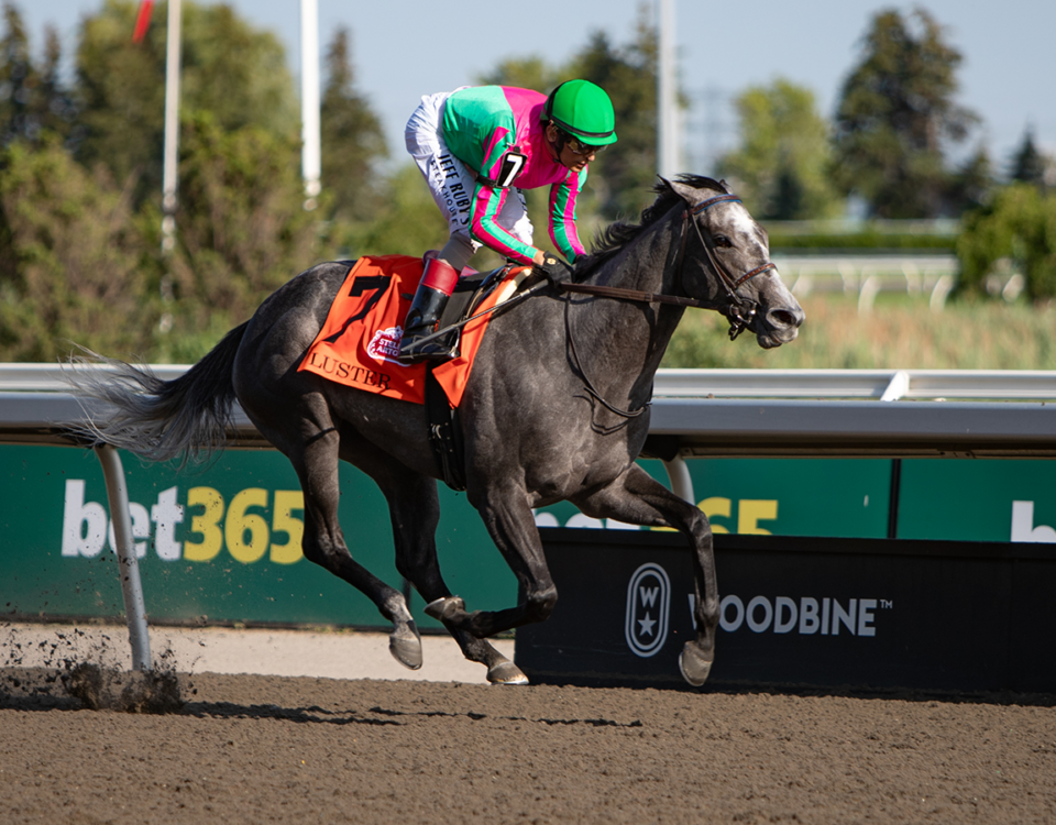 Luster - Woodbine Oaks - Julie Wright - Daily Racing From