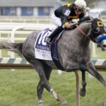 Napoleon Solo - Preakness G1 - Barbara D. Livingston - Daily Racing Form