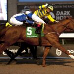 Pink Lloyd - Woodbine - Michael Burns Photo