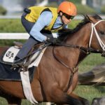Renegado con Irad Ortiz, Jr. up, Saratoga -Barbara D. Livingston - Daily Racing Form