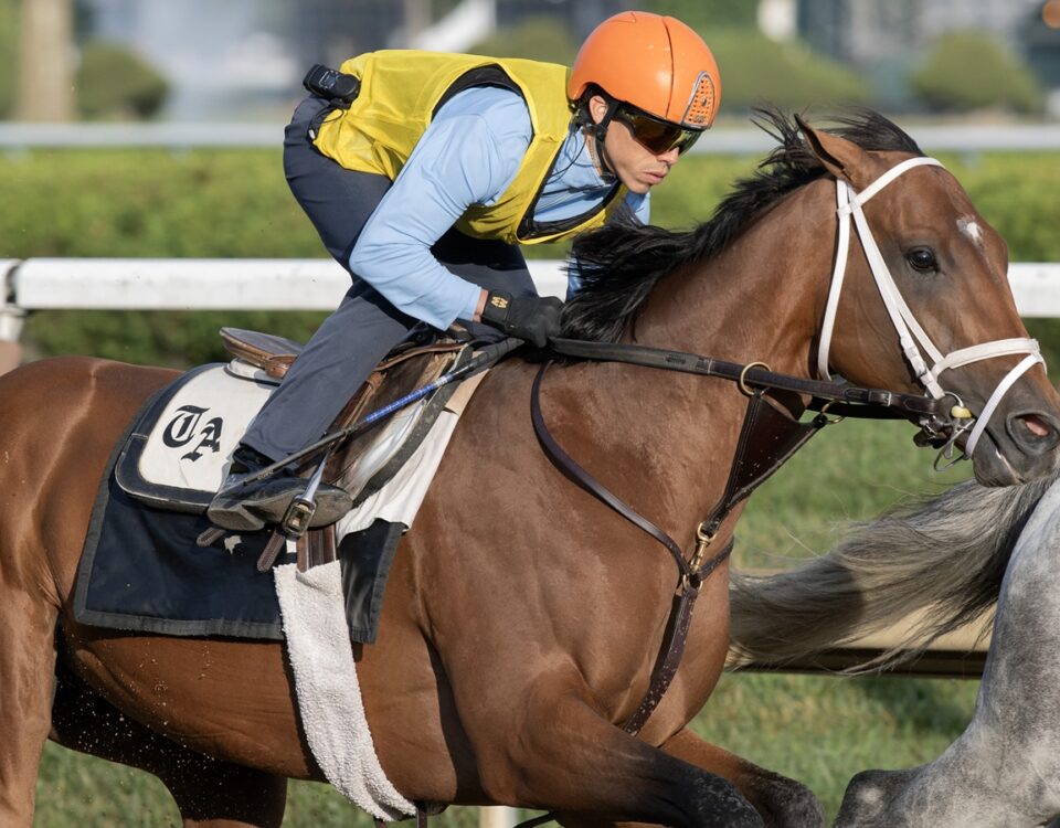 Renegado con Irad Ortiz, Jr. up, Saratoga -Barbara D. Livingston - Daily Racing Form