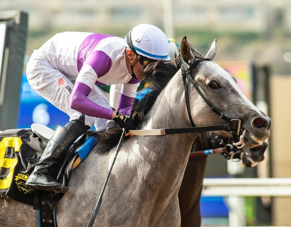 She's No Quant - Fleet Treat Stakes - Santa Anita Park - © BENOIT PHOTO