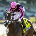 Simply Joking and jockey Emisael Jaramillo - Santa Maria Stakes G3 - Santa Anita Park, Arcadia - © BENOIT PHOTO
