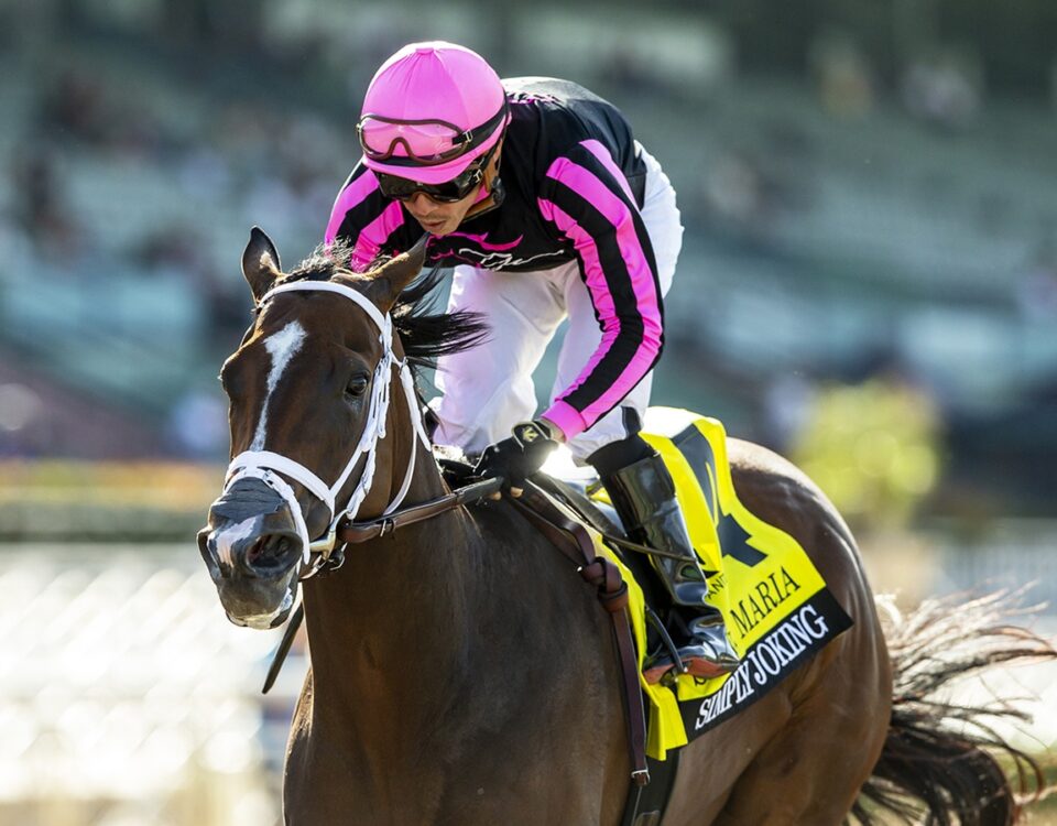 Simply Joking and jockey Emisael Jaramillo - Santa Maria Stakes G3 - Santa Anita Park, Arcadia - © BENOIT PHOTO