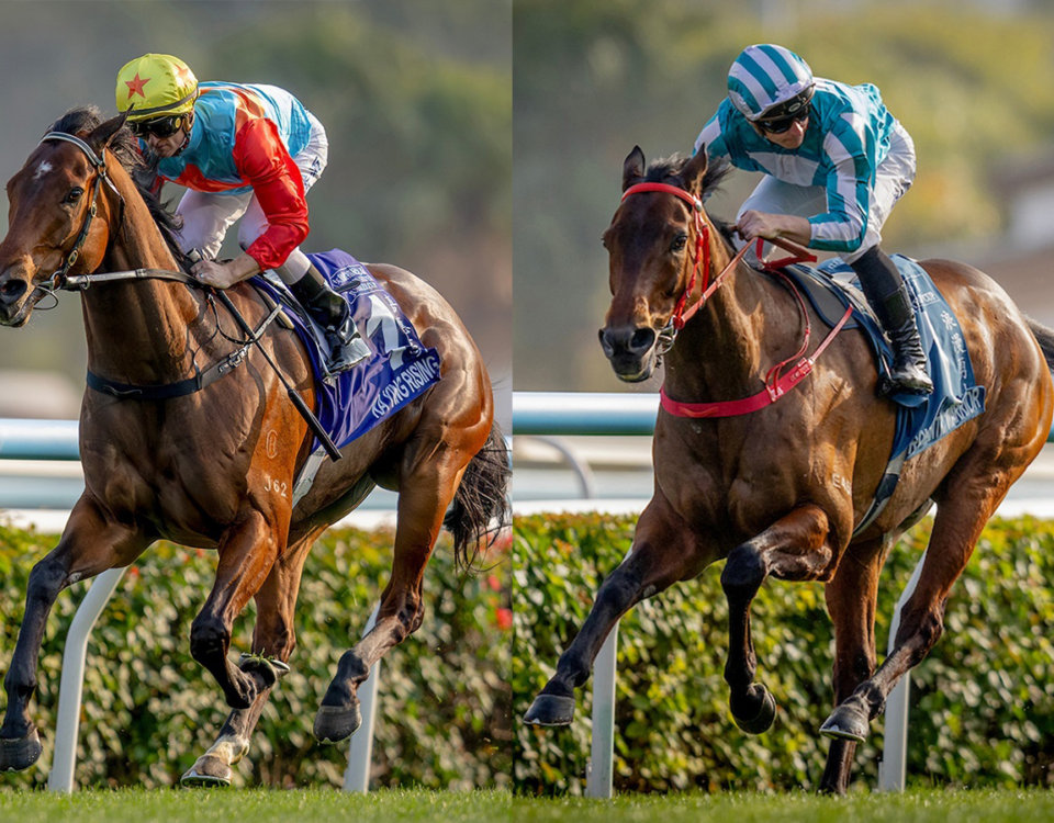 Ka Ying Rising y Romantic Warrior - Hong Kong Jockey Club