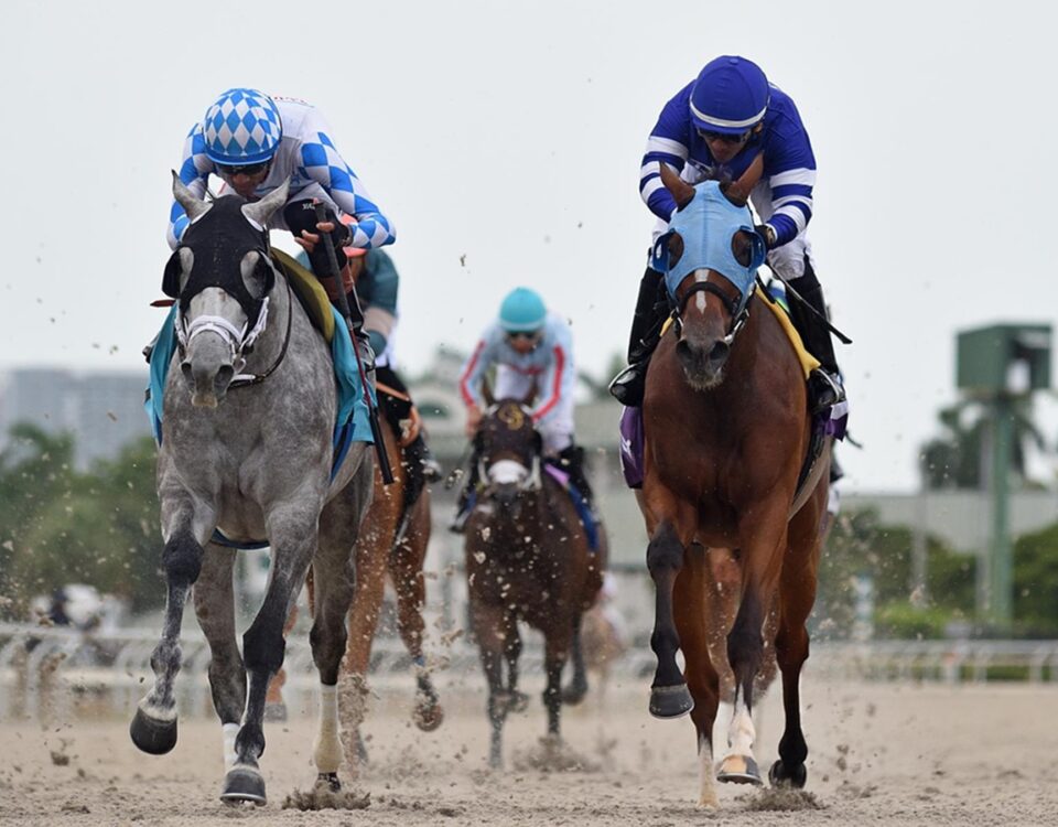 Vincey Girl - Powder Break Stakes - Gulfstream Park - Ryan Thompson - Coglianese Photo