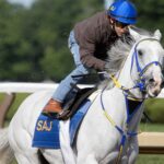 White Abarrio - Barbara D. Livingston - Daily Racing Form