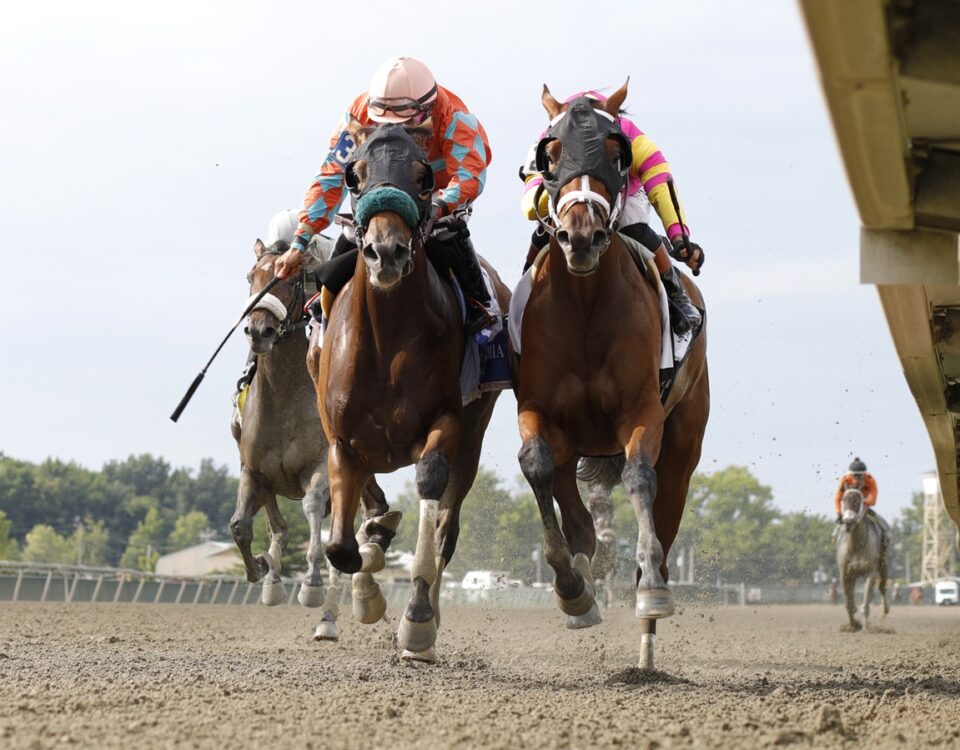 Tap to Open - Micanopy - Parx Racing in Bensalem, Pa. Photo by Bill Denver/EQUI-PHOTO
