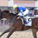Micanopy - Parx Racing in Bensalem, Pa. Photo by Bill Denver/EQUI-PHOTO
