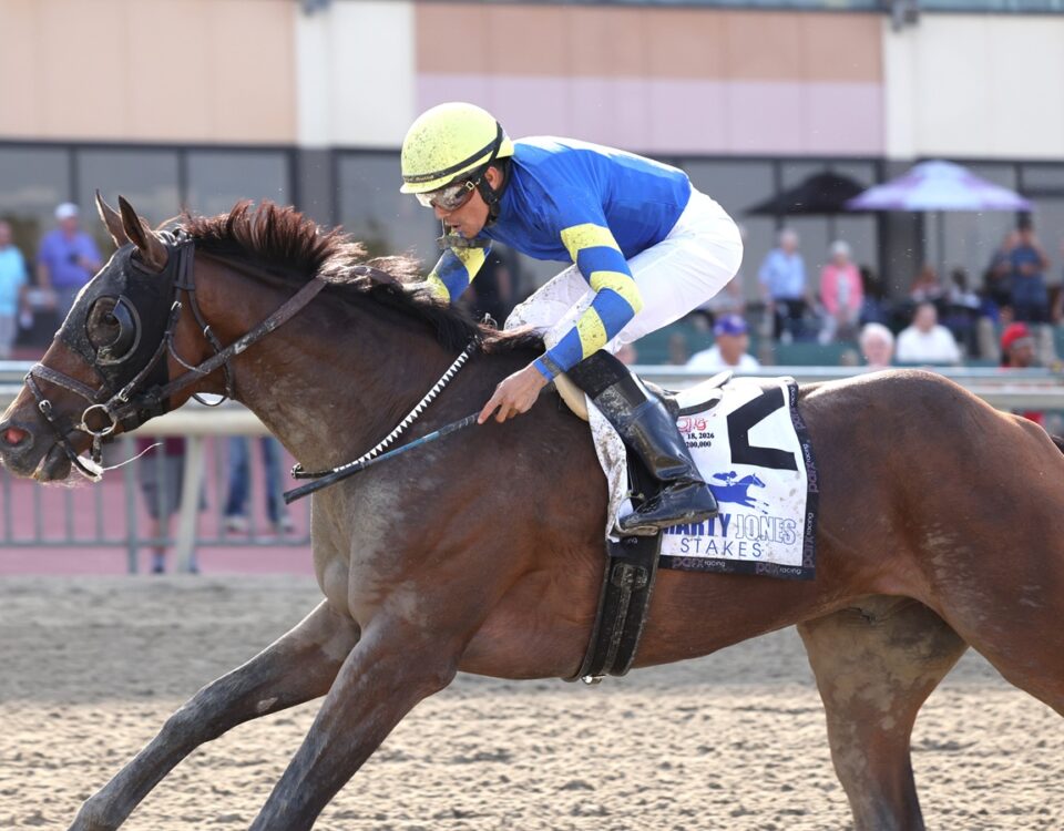 Micanopy - Parx Racing in Bensalem, Pa. Photo by Bill Denver/EQUI-PHOTO