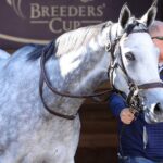 Ag Bullet - Barbara D. Livingston - Daily Racing Form