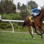 Artemus Citylimits - Julie Wright - Daily Racing Form