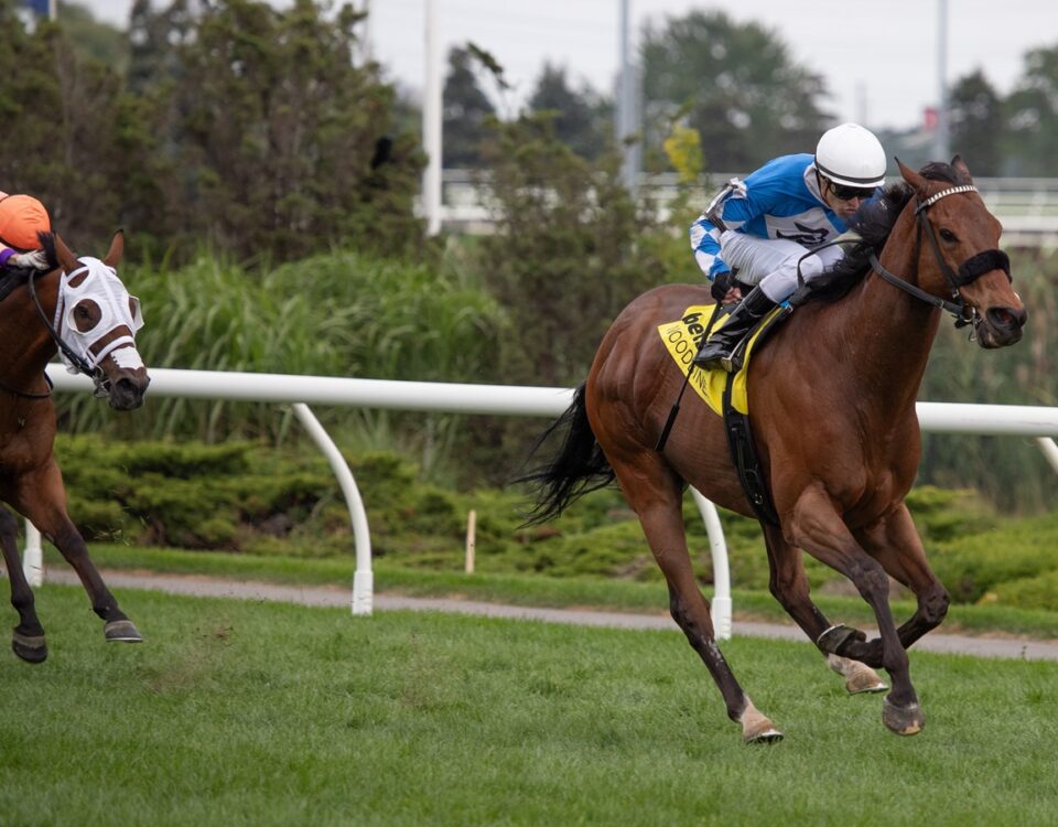 Artemus Citylimits - Julie Wright - Daily Racing Form