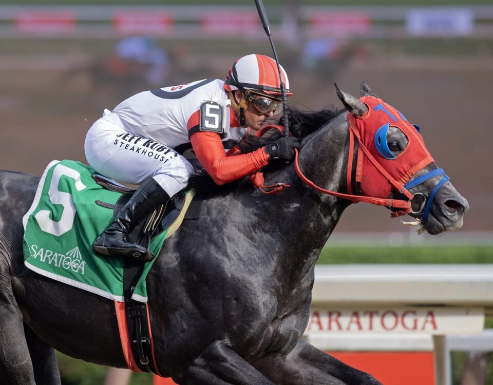Buttah - Barbara D. Livingston - Daily Racing Form