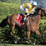 Evershed (Ire) - Barbara D. Livingston - Daily Racing Form