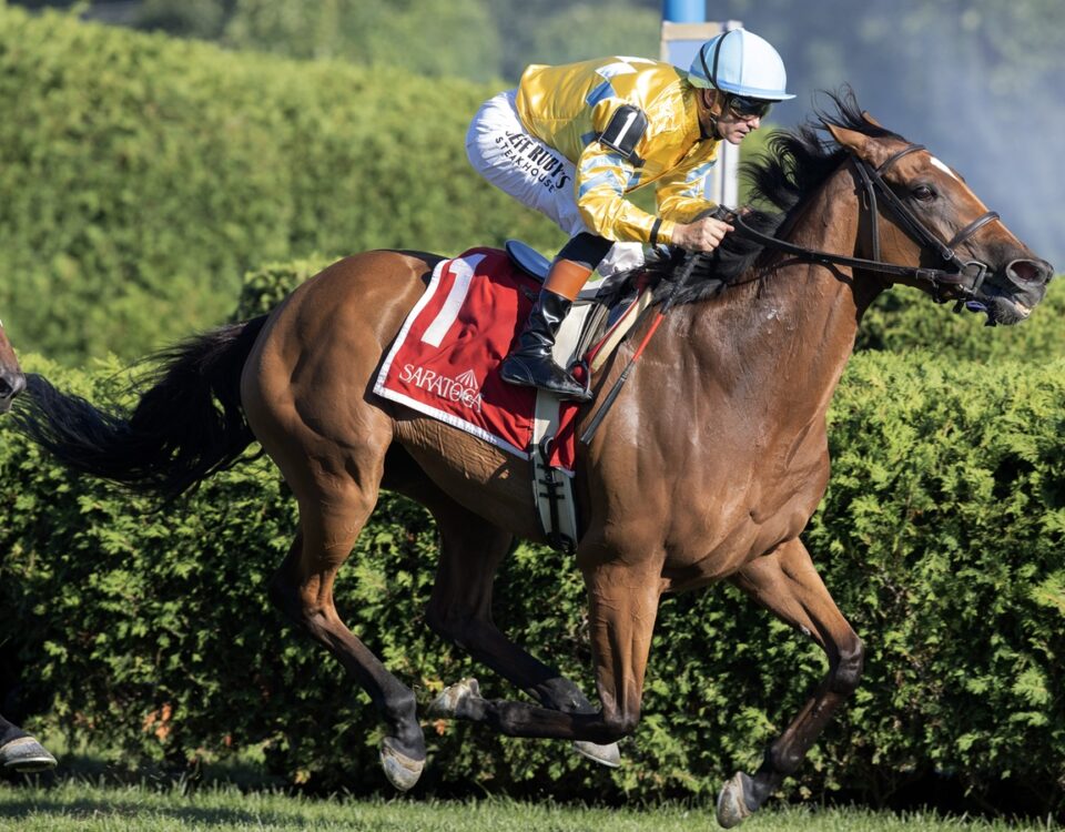 Evershed (Ire) - Barbara D. Livingston - Daily Racing Form