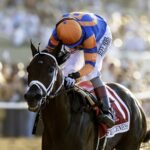 Fierceness, ganador del Pacific Classic G1 en 2025. Benoit Photo, CA.