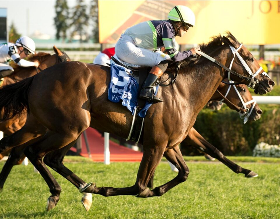 Gas Me Up - King Edward Stakes G2 - Woodbine - Michael Burns Photo